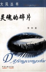 灵魂的碎片