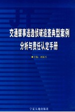 交通肇事逃逸侦破追查典型案例分析与责任认定手册 第2卷