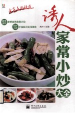 诱人家常小炒大全 全彩