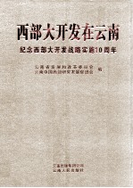 西部大开发在云南 纪念西部大开发战略实施10周年