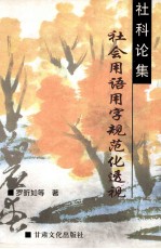 社会用语用字规范化透视