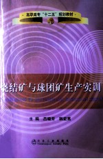 烧结矿与球团矿生产实训
