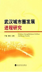 武汉城市圈发展进程研究