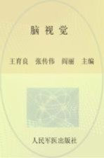 脑视觉