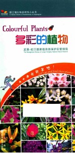 多彩的植物