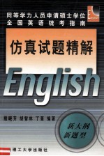 仿真试题精解
