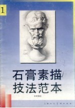 石膏素描技法范本 1