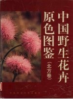 中国野生花卉原色图鉴 中英文本 北方卷