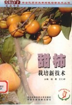 甜柿栽培新技术