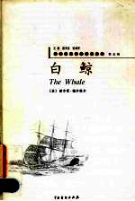 白鲸 2