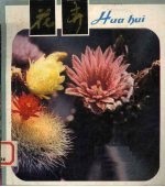 花卉 草本花卉