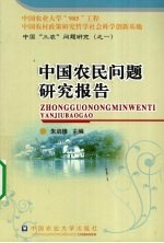 中国农民问题研究报告