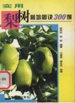 实用梨树栽培图诀300例
