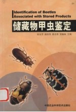 储藏物甲虫鉴定