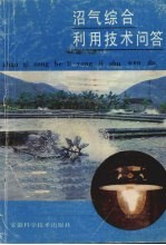 沼气综合利用技术问答