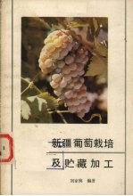 新疆葡萄栽培及贮藏加工
