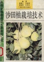 沙田柚栽培技术