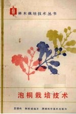 泡桐栽培技术