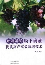 新疆葡萄膜下滴灌优质高产高效栽培技术