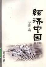 经济中国 第5辑