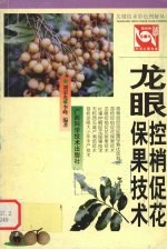 龙眼控梢促花保果技术