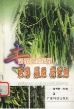 豆角 菜豆 荷兰豆