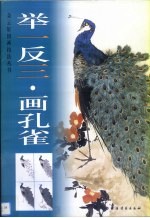 举一反三·画孔雀