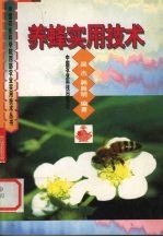 养蜂实用技术
