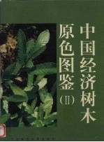 中国经济树木原色图鉴 2