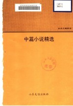 张炜名篇精选 中篇小说精选