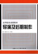 导演及后期制作