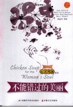 不能错过的美丽 中文版