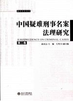 中国疑难刑事名案法理研究 第2卷