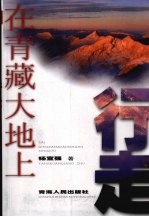 在青藏大地上行走