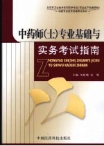 中药师 士 专业基础与实务考试指南