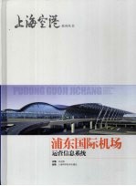 浦东国际机场 运营信息系统