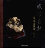 感悟自然:大漠奇石小品组合集