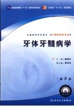 牙体牙髓病学 第3版