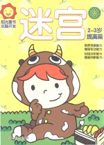 迷宫 2-3岁 提高篇
