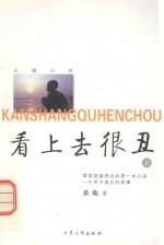 长篇小说 看上去很丑 上