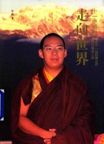 十一世班禅 走向世界 写在十一世班禅大师坐床20周年之际