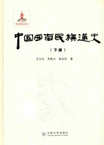 中国西南民族通史 下