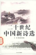 二十世纪中国新诗选 第2册