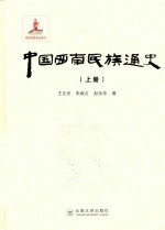 中国西南民族通史 上