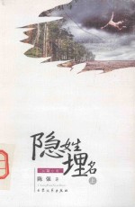 长篇小说 隐姓埋名 上