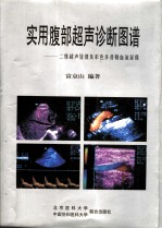 实用腹部超声诊断图谱 二维超声显像及彩色多普勒血流显像