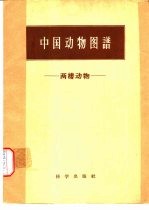 中国动物图谱 两栖动物