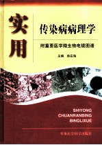 实用传染病病理学