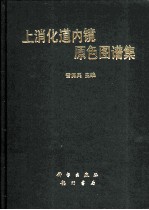 上消化道内镜原色图谱集