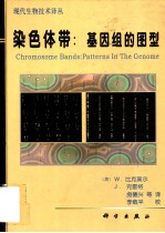 染色体带：基因组的图型